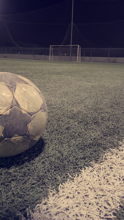 Al Jawhara Stadium - Dammam 32311