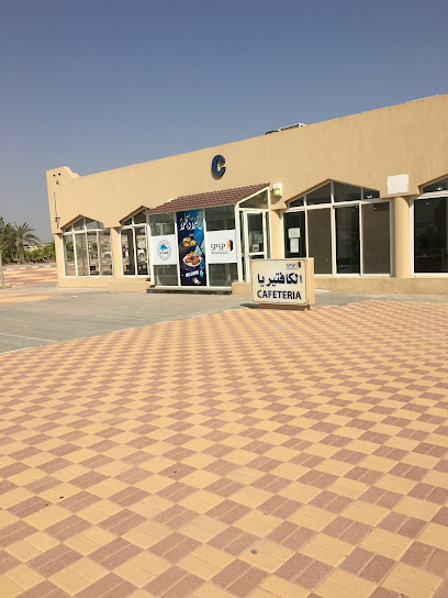 SPSP Technical Site - Saudi Arabia|Khafji 39245|8735