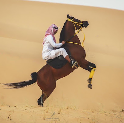 اسطبل الغفيص للخيول العربية الاصيلة - Buraydah - +966 50 004 5037