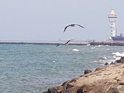 أم القطب - Jazan - +966 50 731 2075