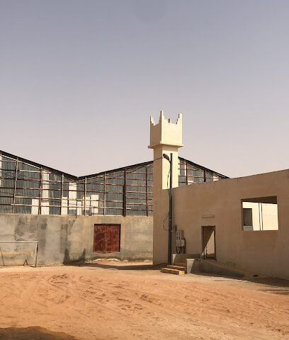 مزرعة ال طالب الدلم - Ad Dilam - +966 53 004 7777