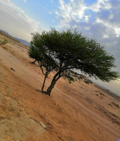 مدارس ديوان المعرفه الأهليه - Najran -