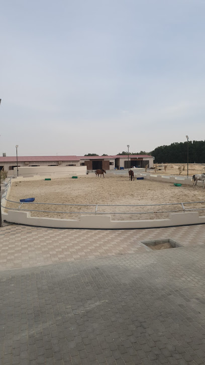 مربط نرمه - Saudi Arabia|Al Jubail 35866