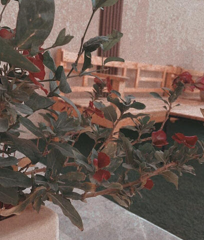 مغلق - Az Zulfi -