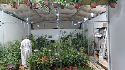 Mimas Gardens حدائق الميماس - Riyadh - +966 54 237 8906