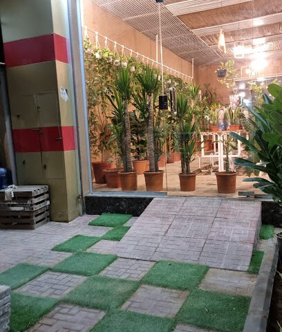 مشتل حدائق جينار - Hafar Al Batin - +966 55 694 9888