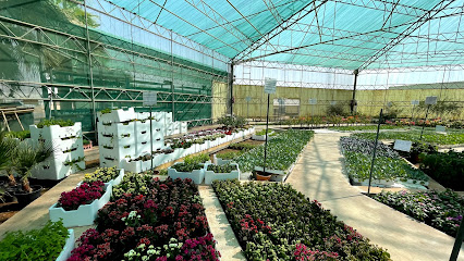 شركة مشاتل البستان Al Bustan Nurseries Company - Doobeah - +966 11 545 7555