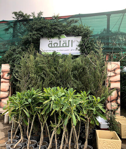 مشتل القلعة المتطوره - Khamis Mushait - +966 55 567 5214
