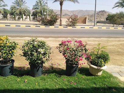 مشتل النخيل والزهور - Najran - +966 55 059 0942