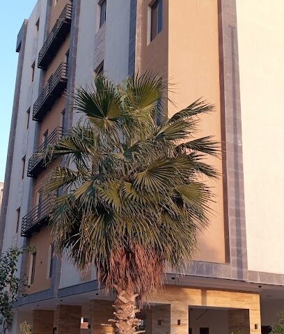 بيوت عقارية شقق تمليك جدة - Jeddah - +966 55 117 6636