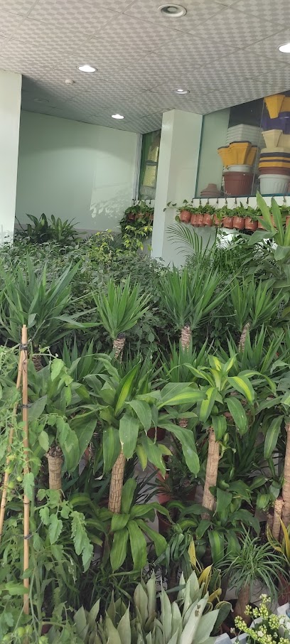 حدائـق الرواد لنباتات الزينة(Plant Nursery) - Saudi Arabia|9205 طريق الملك عبدالعزيز، الربوة، أبها 62523 2459، 62523 2459