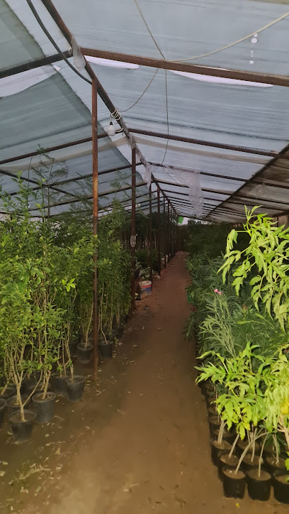 مشتل Nursery - Riyadh 14535