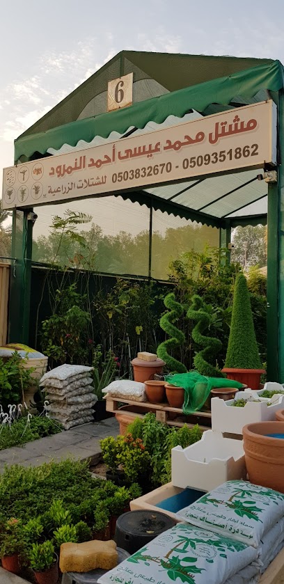 مشتل النمرود - Al Jubail 35811