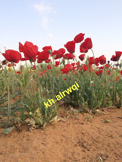 مشتل نوره للنباتات البرية - Saudi Arabia|Sakaka 72355|X4G8+3HM