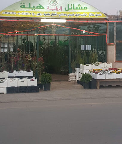 مشتل هيلة - Sakaka - +966 55 227 7570