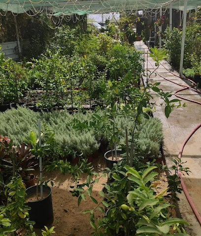 شركة دواجن الصفا المحدودة - Najran -