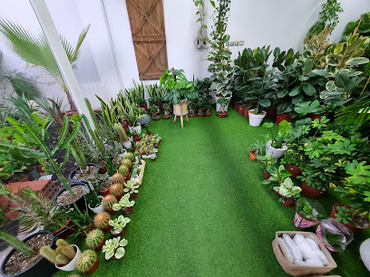 مشتل إزهار Izhar Nursery - Jeddah -