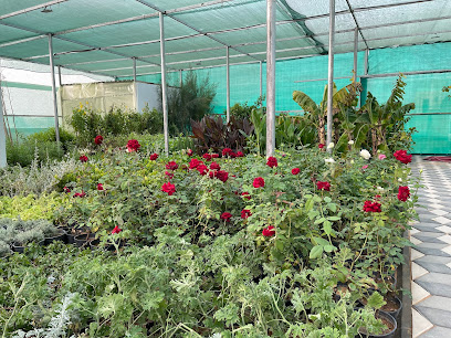 مشتل أرض خميلة - Buraydah - +966 50 543 7377