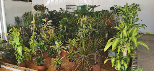 مشتل عين داما - Tabuk - +966 53 026 4600