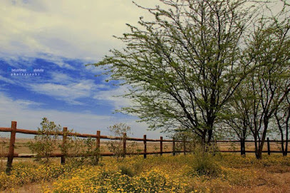 KACST-Khafji - Khafji -