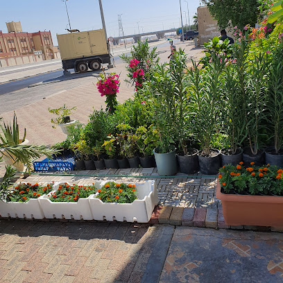 محل بستان الواحة للزهور ابراهيم تركي للمحاصل الزرعيه صابقن - Dammam - +966 58 299 0588