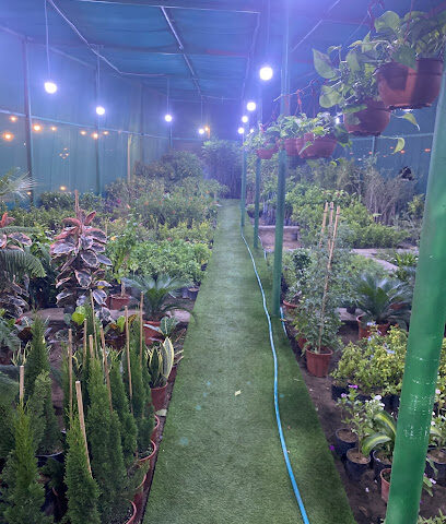 مشتل تنعم - Abha - +966 56 449 5546