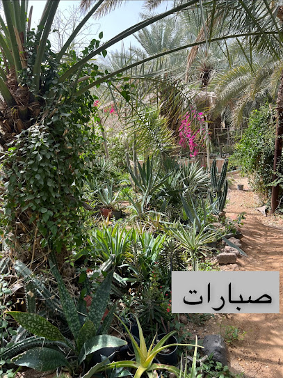 مشتل زهور المدينة - Saudi Arabia|Al Madinah Al Munawwarah 42333|Al'uyun