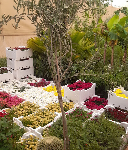 مشتل ابومكه - Riyadh - +966 54 068 7587