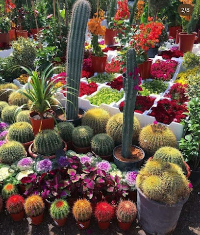 مشتل تنسيق الحدائق الرياض - Riyadh - +966 55 670 1443