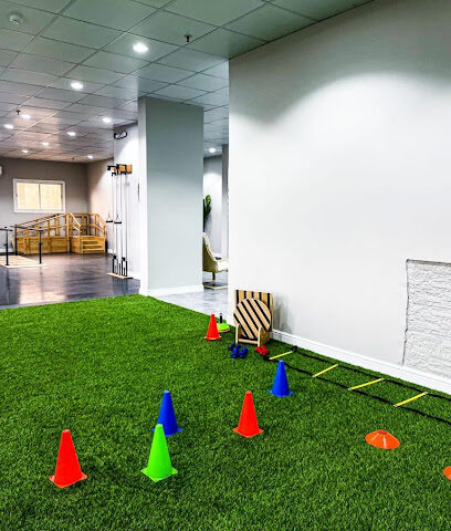 مركز ترقوة للعلاج الطبيعي - Taif - +966 50 773 6626