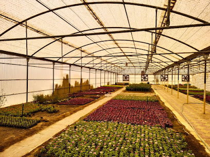 Plantation House مشتل منزل - Al Qalibah -