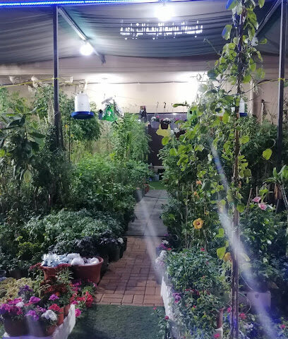 مؤسسة المواسم الاربعة الزراعية - Al Jubail - +966 59 436 3720