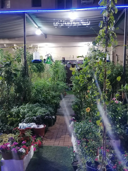 مؤسسة المواسم الاربعة الزراعية - Saudi Arabia|Al Jubail 35513|King Fahd Industrial Port|الملك خالد