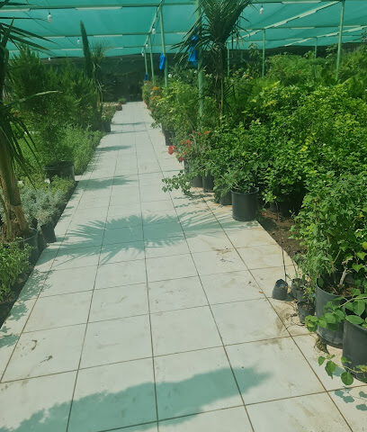 مشتل الوادي المتميز التجارية - Taif - +966 50 017 4440