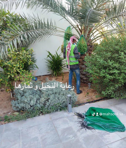 Gardening - Dammam - +966 55 577 2172
