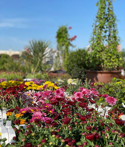 Al-Nasser Nursery - Al Khobar - +966 50 986 2069