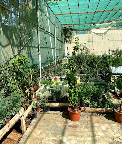 Jinan Arboretum and Gardens - Ad Dilam - +966 59 147 9122