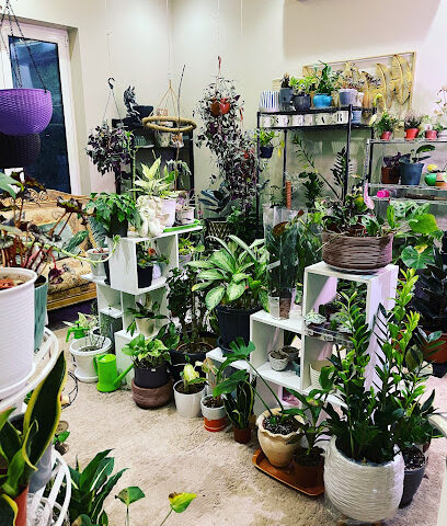 معرض النبات - Al Qatif - +966 50 586 8161