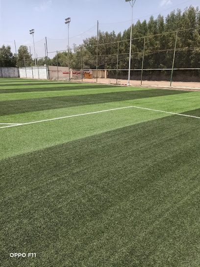 ملعب إكسترا الجوافة - Saudi Arabia|Najran 66261