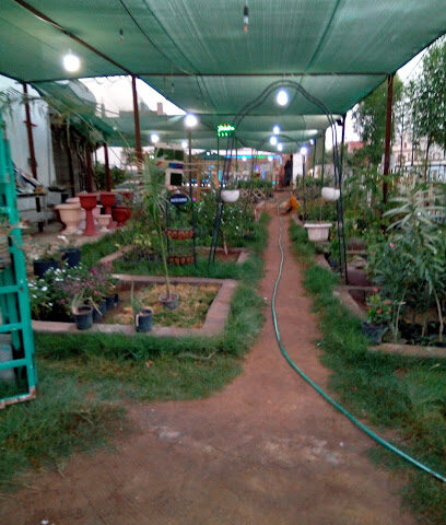 عالم الطيور والنباتات - Jeddah - +966 56 144 0727