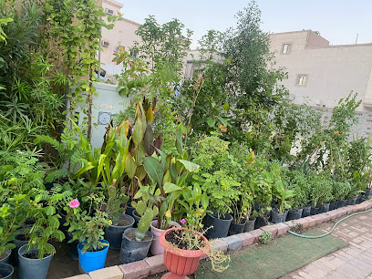مشتل زهره اللوتس - Dammam - +966 53 735 5090