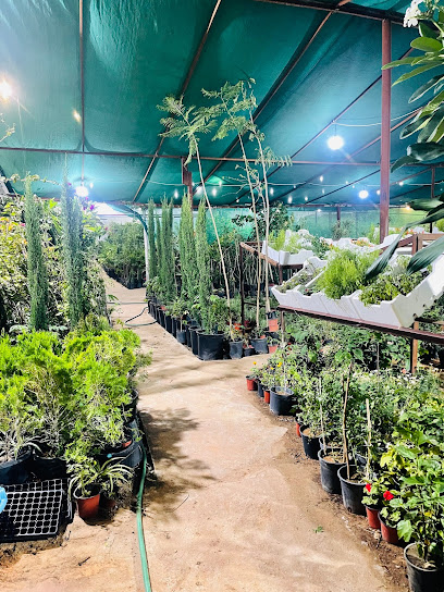 مشتل ابوحسام للنبات البري والمثمر plant nurseries - Saudi Arabia|Hail 55422|7709-Al khamashiyyah dist hail 55422 - 4720 حي