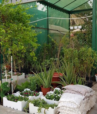 مشتل النخيل - Al Jubail - +966 56 567 3717