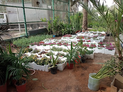 شركة قوافل المقبلي للتجارة - Riyadh - +966 56 584 1269