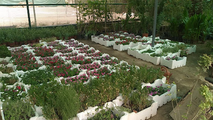 مشاتل الأشراف الزراعية - Riyadh - +966 54 415 7905