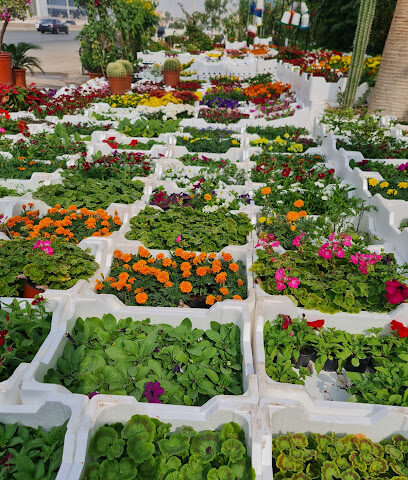 Shaheen Garden - Riyadh - +966 55 503 6590
