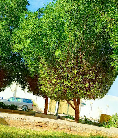playground - Riyadh -