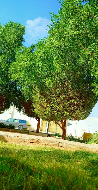 playground - Saudi Arabia|Riyadh 12271|King Fahd|3135 Abdullah Ibn Al Arqam