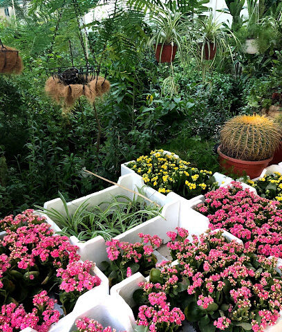My garden Agricultural Foundation - Al Hofuf - +966 13 588 1300