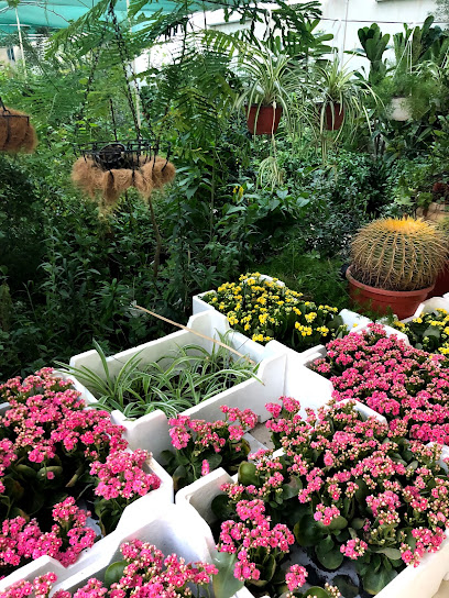 My garden Agricultural Foundation - Saudi Arabia|Al Hofuf 36441|Albandariyah|8HXC+9H5